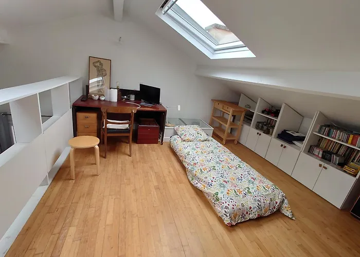 Appartement Paris 公寓 巴黎